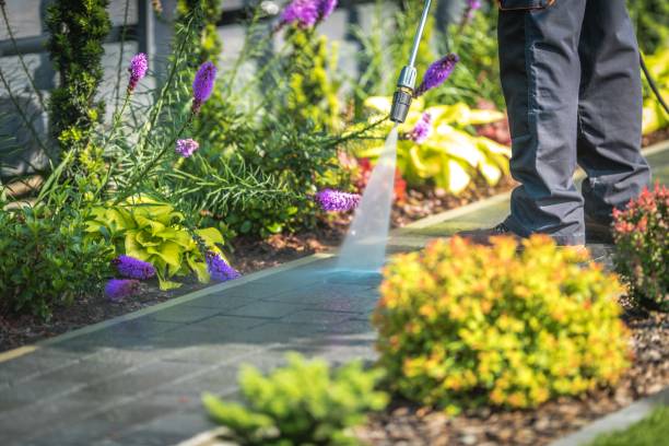 Best Spring Cleaning  in Guilford Center, CT